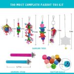 Vibrant Bird Enrichment Toy Set - Hình 5