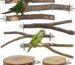 Natural Wood Bird Perch & Platform Set