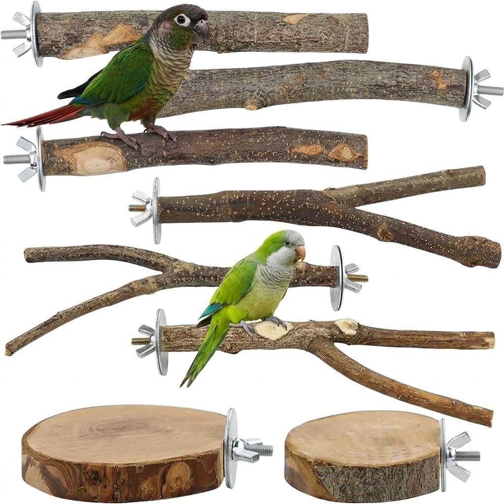 Natural Wood Bird Perch & Platform Set
