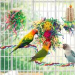 Vibrant Shredder Bird Toys - Hình 2