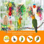 Vibrant Shredder Bird Toys - Hình 5
