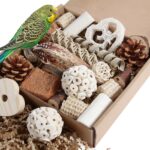 Assorted Natural Bird Chewing Toys
