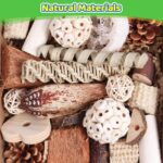 Assorted Natural Bird Chewing Toys - Hình 2