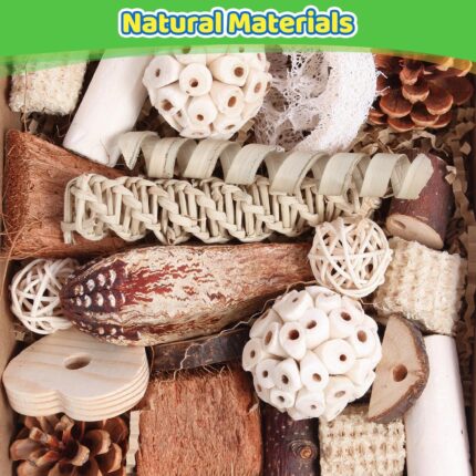 Assorted Natural Bird Chewing Toys - Hình 2