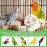 Assorted Natural Bird Chewing Toys - Hình 3