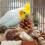 Assorted Natural Bird Chewing Toys - Hình 4