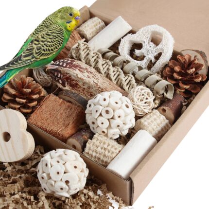 Assorted Natural Bird Chewing Toys
