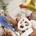 Assorted Natural Bird Chewing Toys - Hình 5