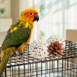 Assorted Natural Bird Chewing Toys - Hình 6