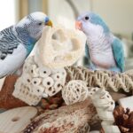 Assorted Natural Bird Chewing Toys - Hình 7