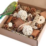 Assorted Natural Bird Chewing Toys - Hình 8