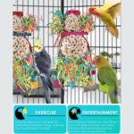 Vibrant Foraging Shredder Bird Toys - Hình 4