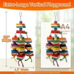 Colorful Hardwood Parrot Chew Toy - Hình 2