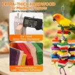 Colorful Hardwood Parrot Chew Toy - Hình 3