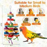 Colorful Hardwood Parrot Chew Toy - Hình 5