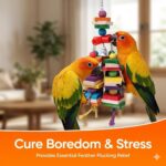 Colorful Hardwood Parrot Chew Toy - Hình 7