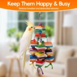 Colorful Hardwood Parrot Chew Toy - Hình 8