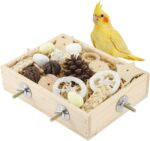 Natural Wood Foraging - Hình 10