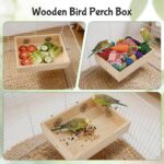 Natural Wood Foraging - Hình 5